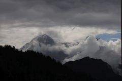 2019-08-29-LF-Stamm-Schynige-Platte-IM_R6716