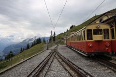 2019-08-29-LF-Stamm-Schynige-Platte-IM_R6731