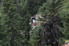 2019-08-29-LF-Stamm-Schynige-Platte-IM_R6770