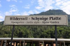 2019-08-29-LF-Stamm-Schynige-Platte-IM_R6841