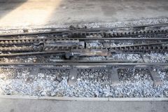 2019-08-29-LF-Stamm-Schynige-Platte-IM_R6847