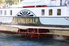 2019-08-29-LF-Stamm-Schynige-Platte-IM_R6895