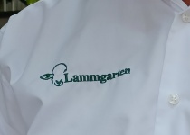 IMG20230808153819
