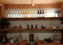 IMG20241111123458