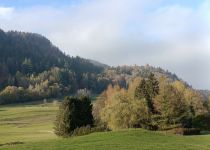 IMG20241111142452
