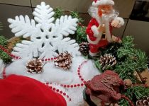 IMG20251202162209